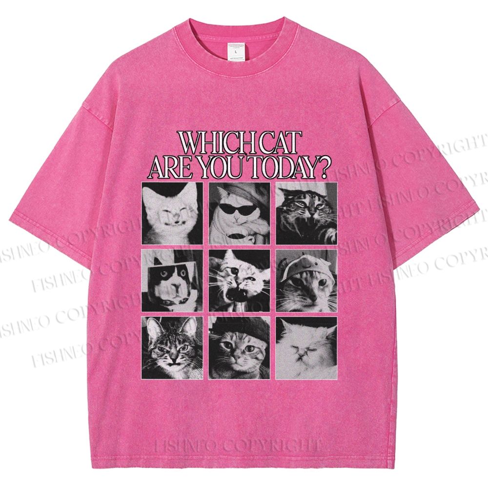 Unisex Which Cat Are You Today Printed Washed Tee