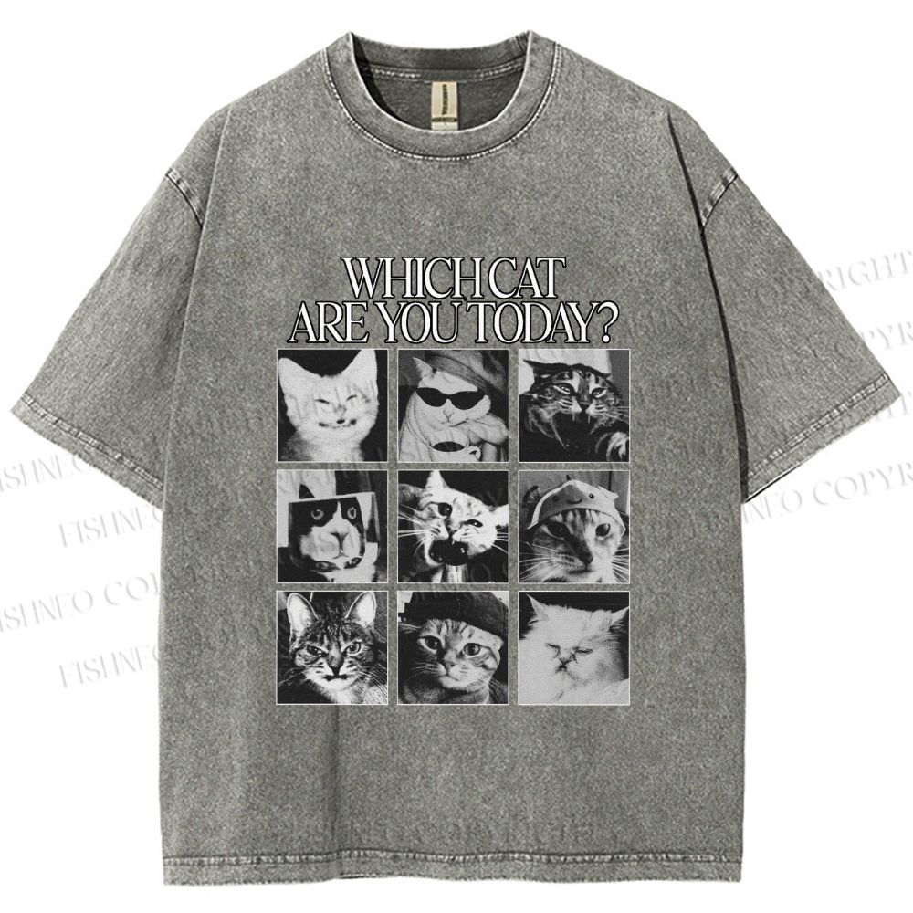Unisex Which Cat Are You Today Printed Washed Tee