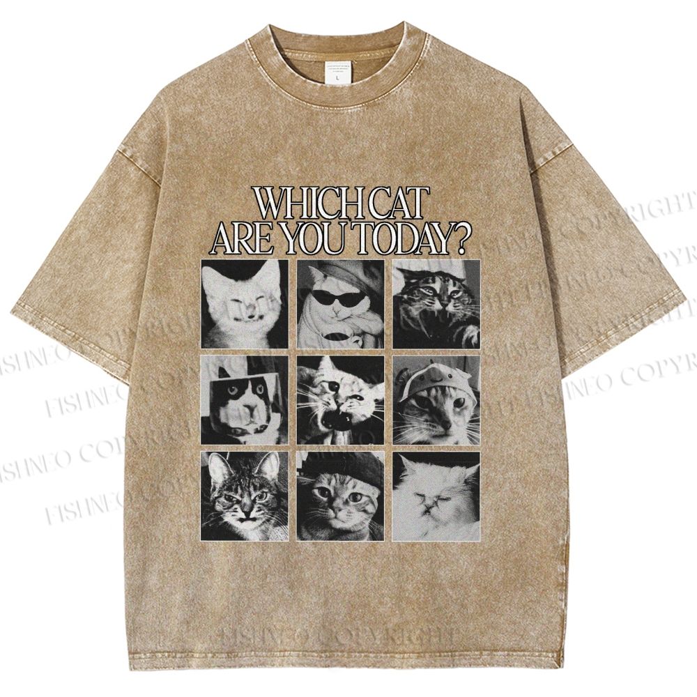 Unisex Which Cat Are You Today Printed Washed Tee