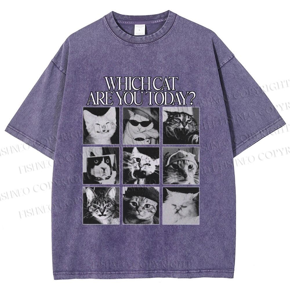 Unisex Which Cat Are You Today Printed Washed Tee