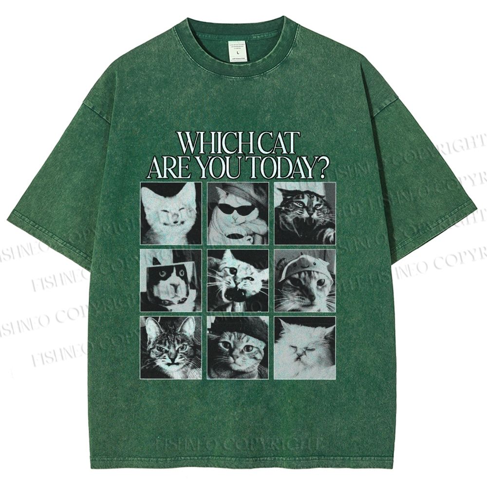 Unisex Which Cat Are You Today Printed Washed Tee