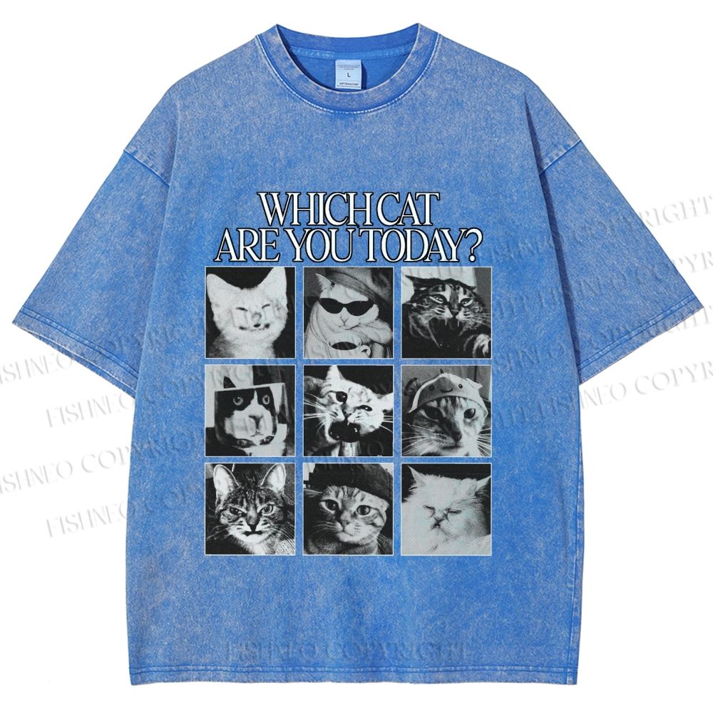 Unisex Which Cat Are You Today Printed Washed Tee