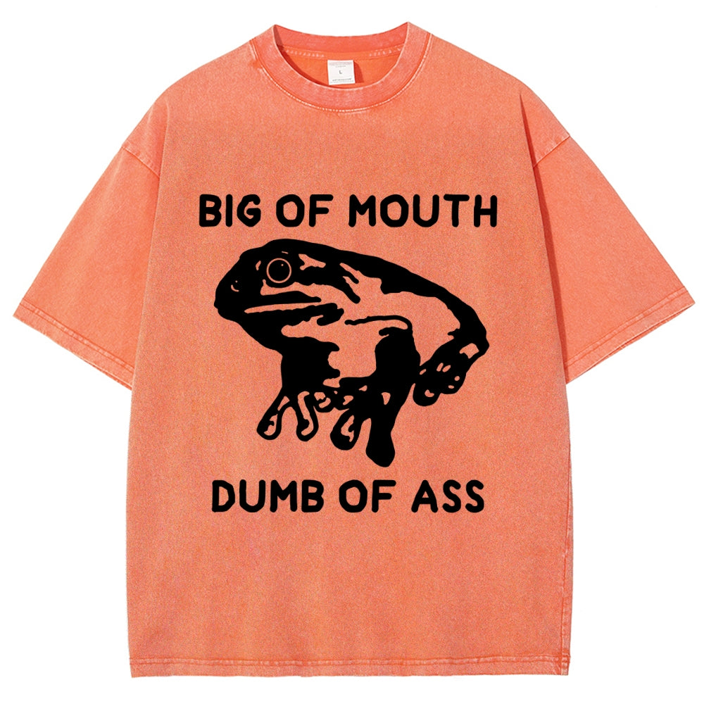 Big-Mouthed Frog Vintage Washed T-shirt
