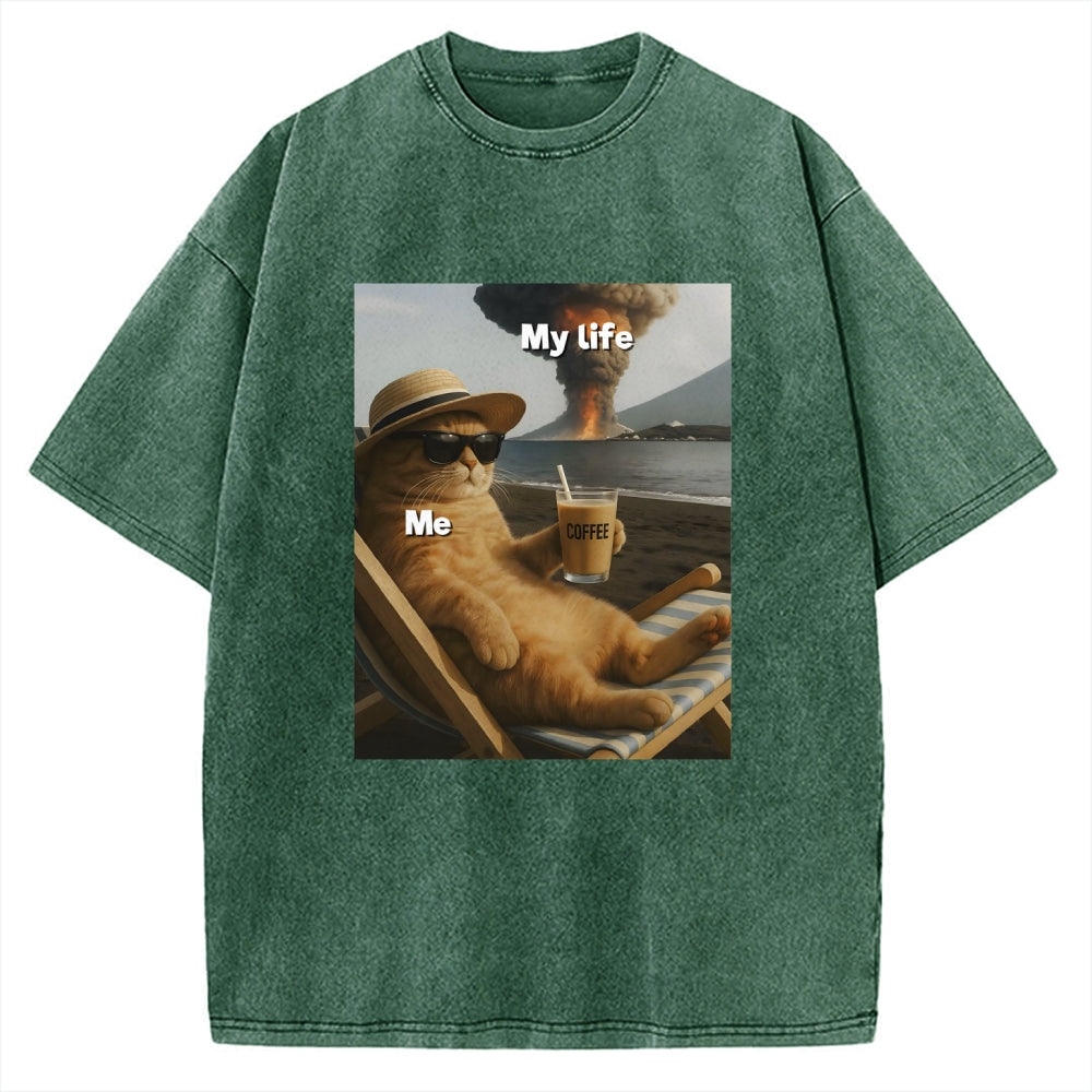 Funny Cat Pictures Vintage Washed T-shirt