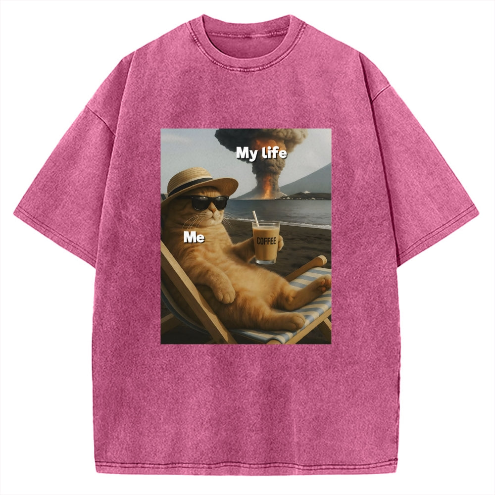 Funny Cat Pictures Vintage Washed T-shirt