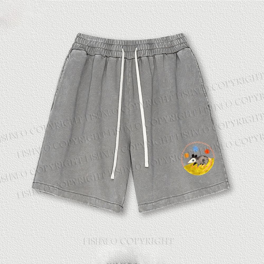 Cute Opossum Washed Vintage Shorts
