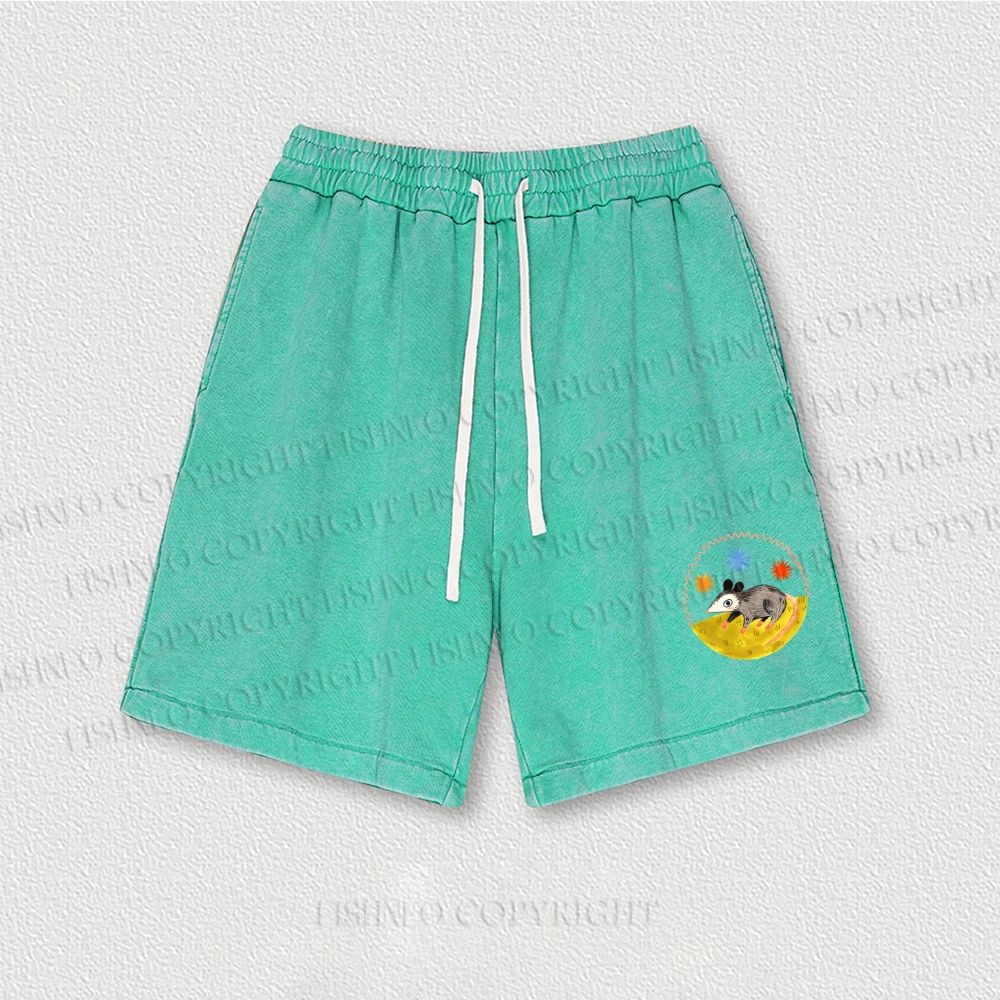 Cute Opossum Washed Vintage Shorts