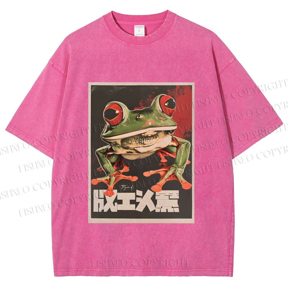 Unisex Vintage Frog Printed Washed Tee