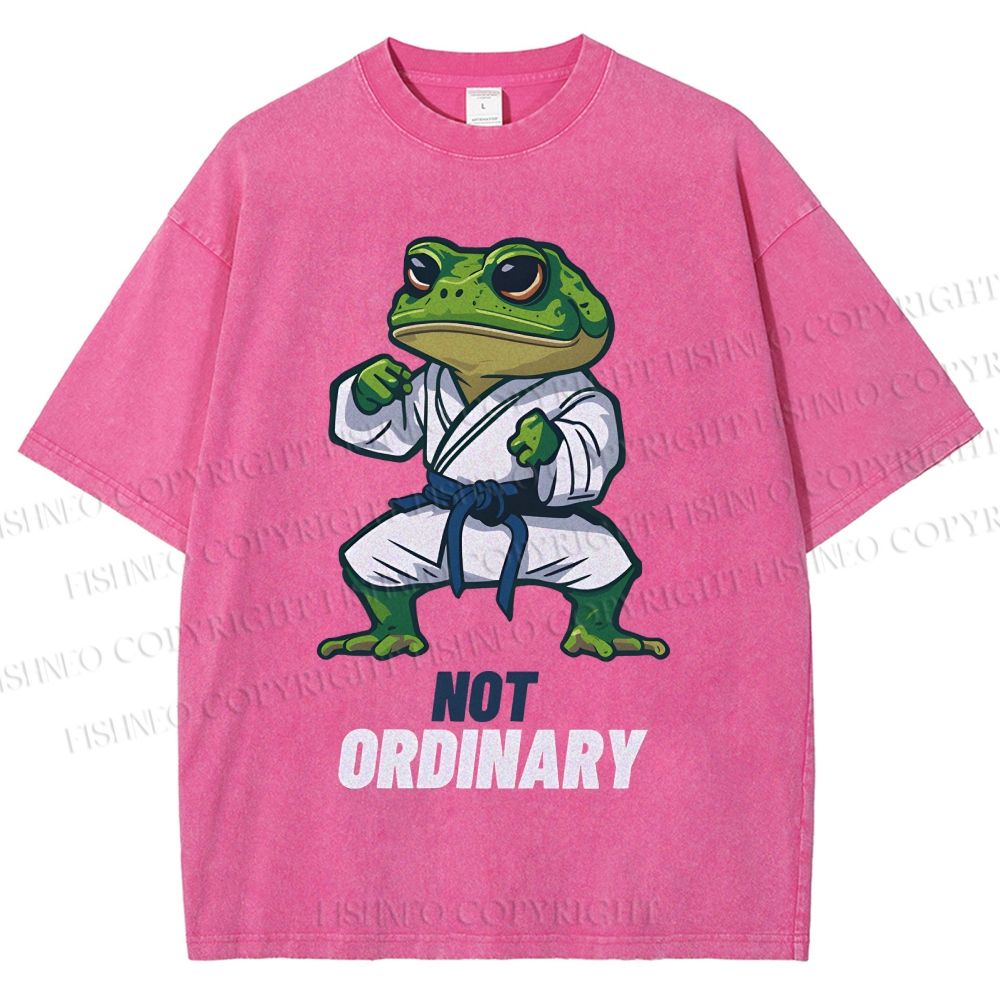 Unisex Karate Frog Printed Washed Tee