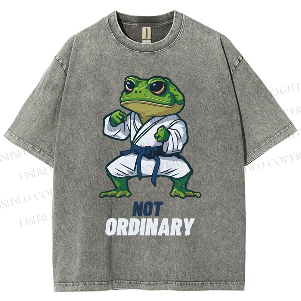 Unisex Karate Frog Printed Washed Tee