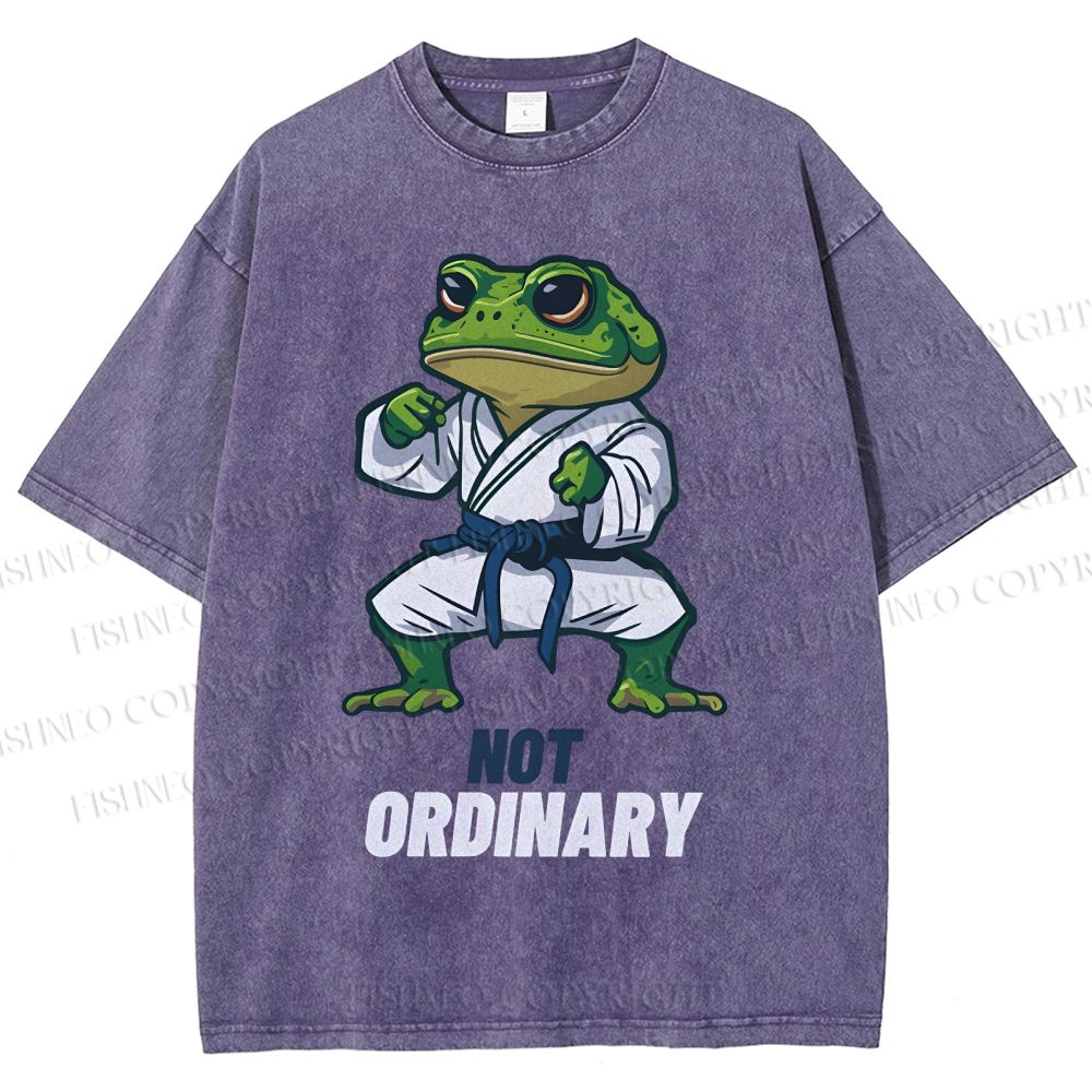 Unisex Karate Frog Printed Washed Tee