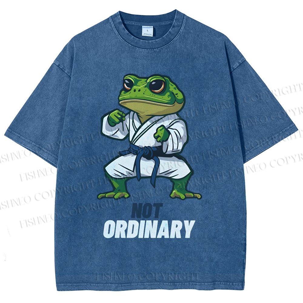Unisex Karate Frog Printed Washed Tee