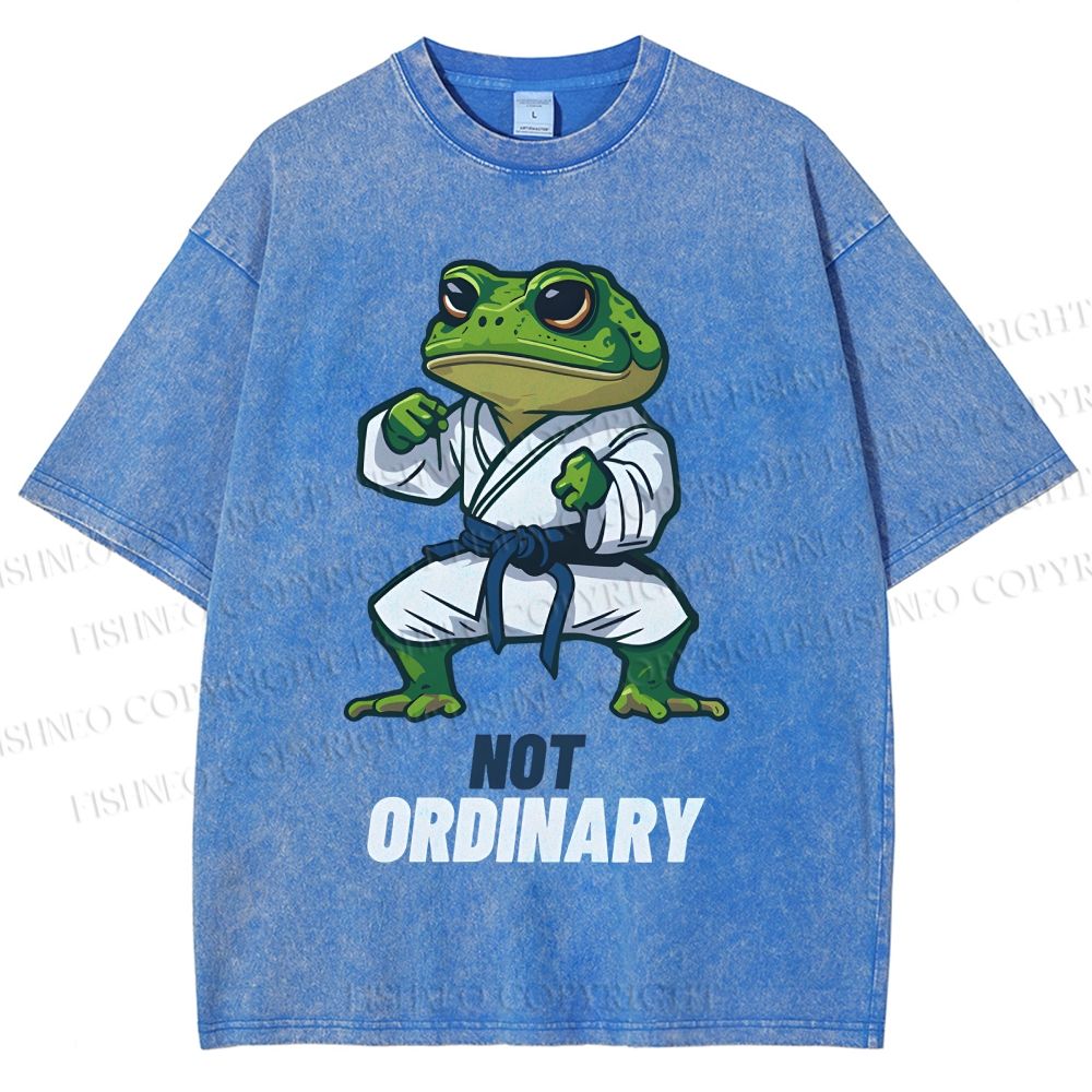 Unisex Karate Frog Printed Washed Tee