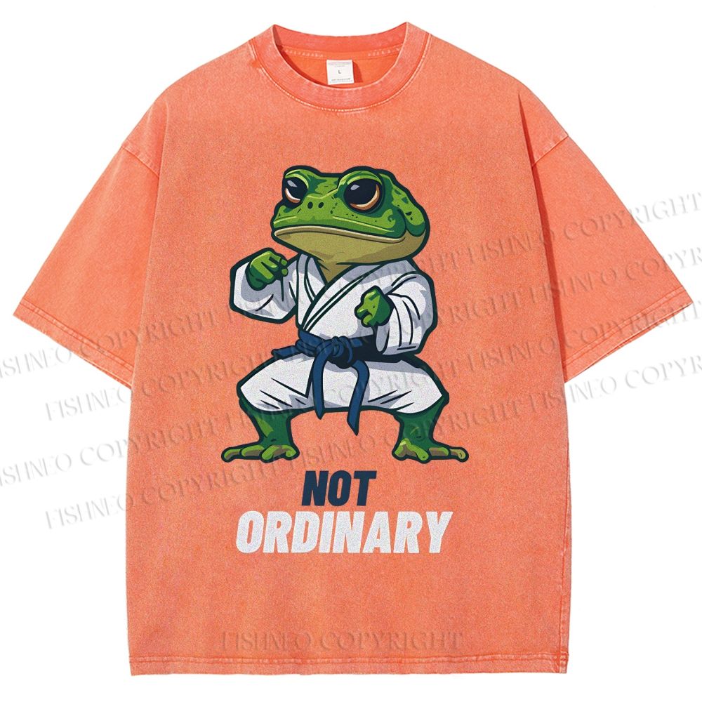 Unisex Karate Frog Printed Washed Tee