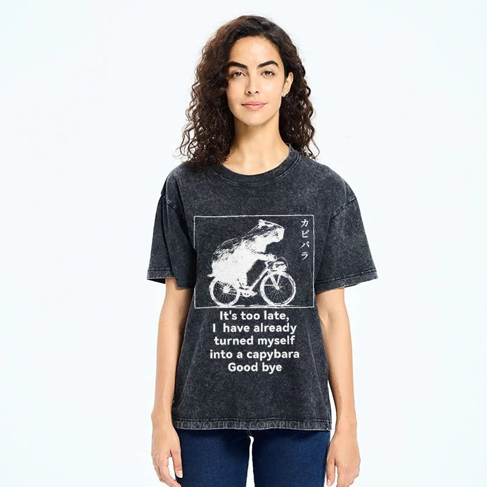 Capybara Vintage Wash Japanese Design T-Shirt