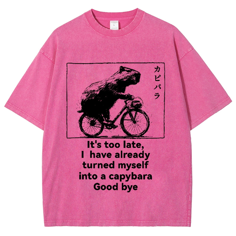 Capybara Vintage Wash Japanese Design T-Shirt