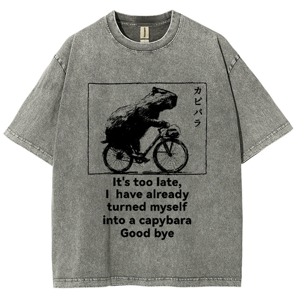 Capybara Vintage Wash Japanese Design T-Shirt