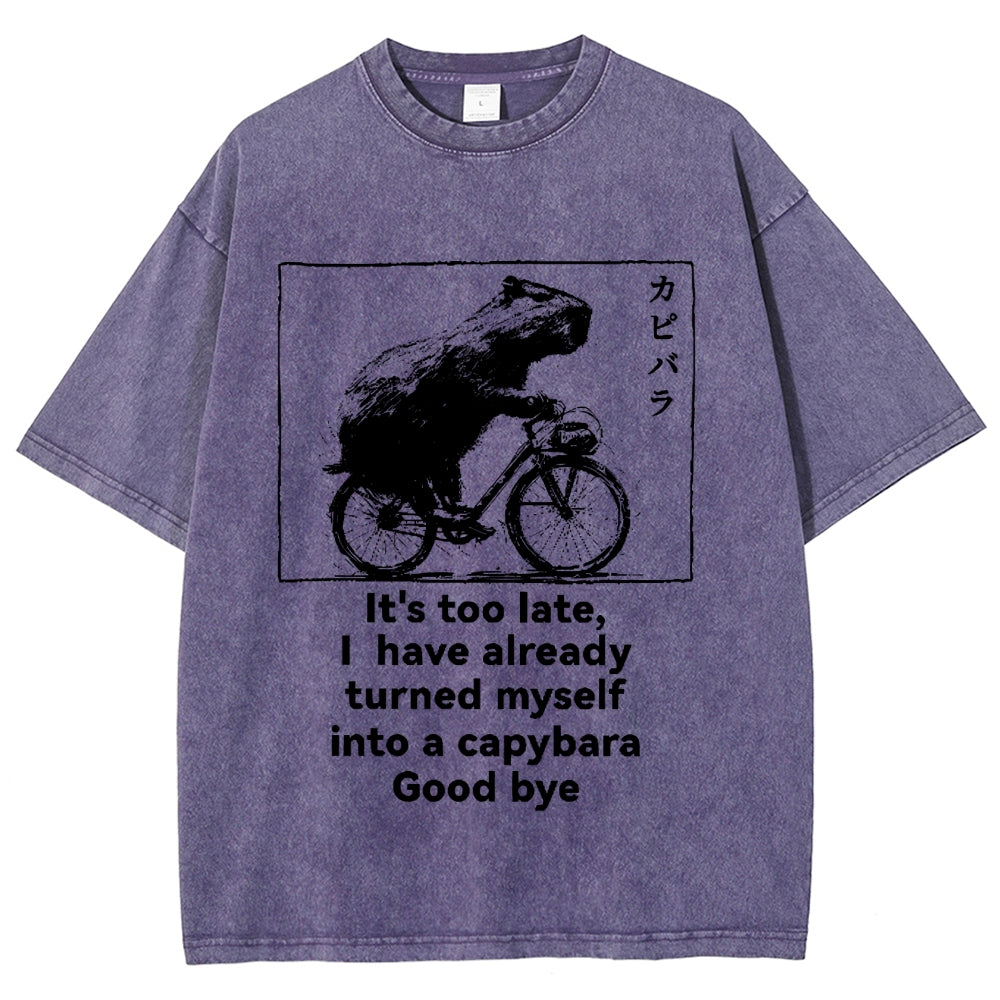 Capybara Vintage Wash Japanese Design T-Shirt