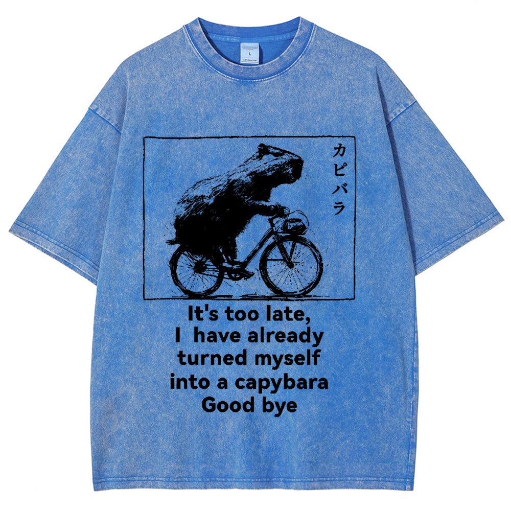 Capybara Vintage Wash Japanese Design T-Shirt