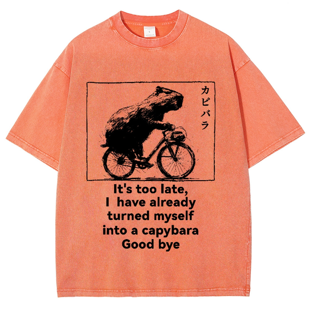 Capybara Vintage Wash Japanese Design T-Shirt
