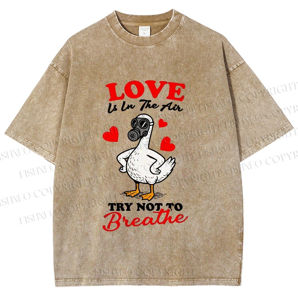Unisex Love Is In The Air Printed Washed Tee