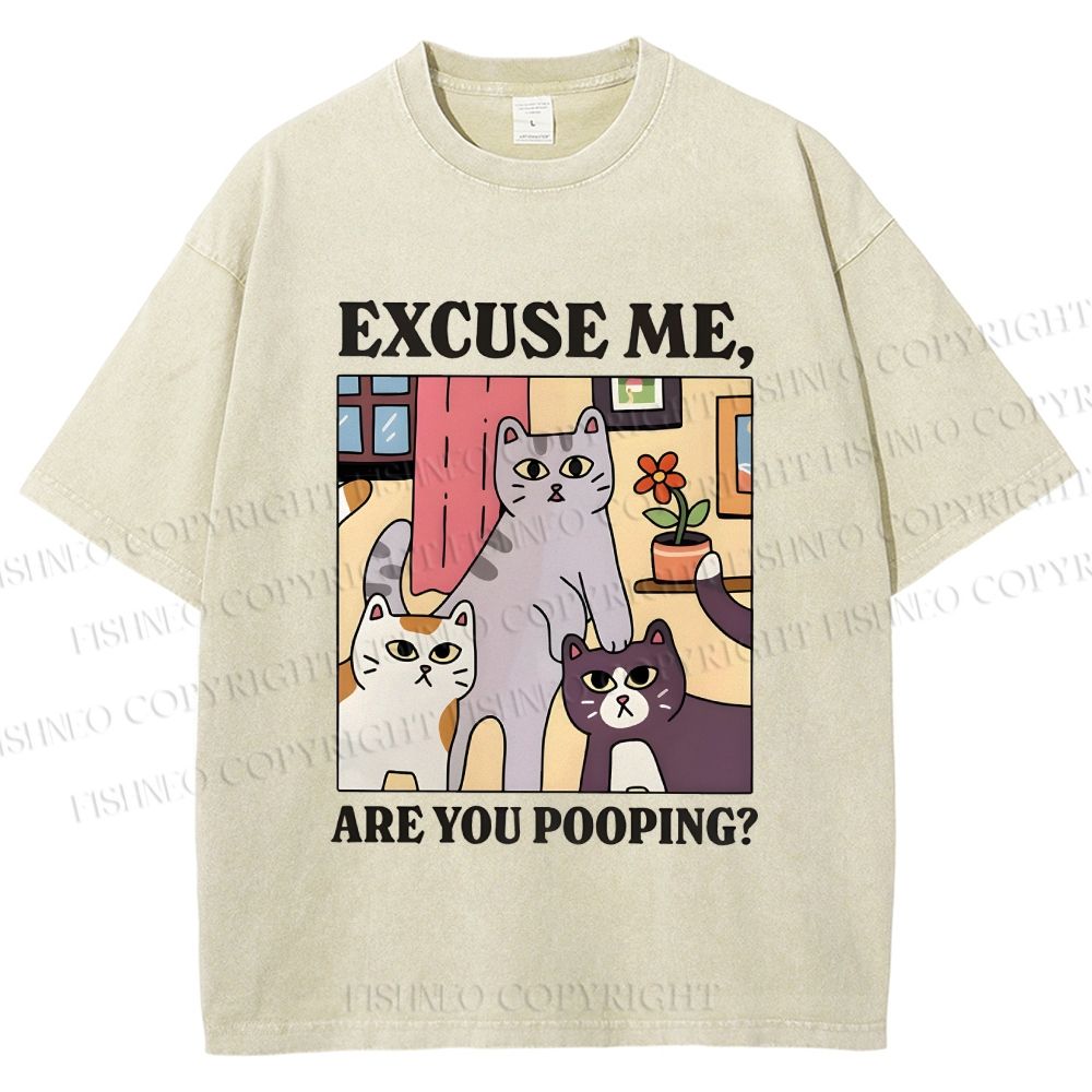 Unisex Excuse Me Are You Pooping Cat Printed Washed Tee