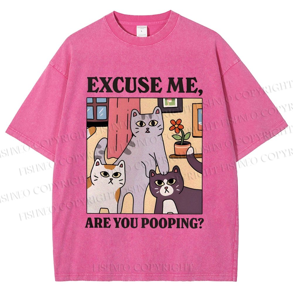 Unisex Excuse Me Are You Pooping Cat Printed Washed Tee