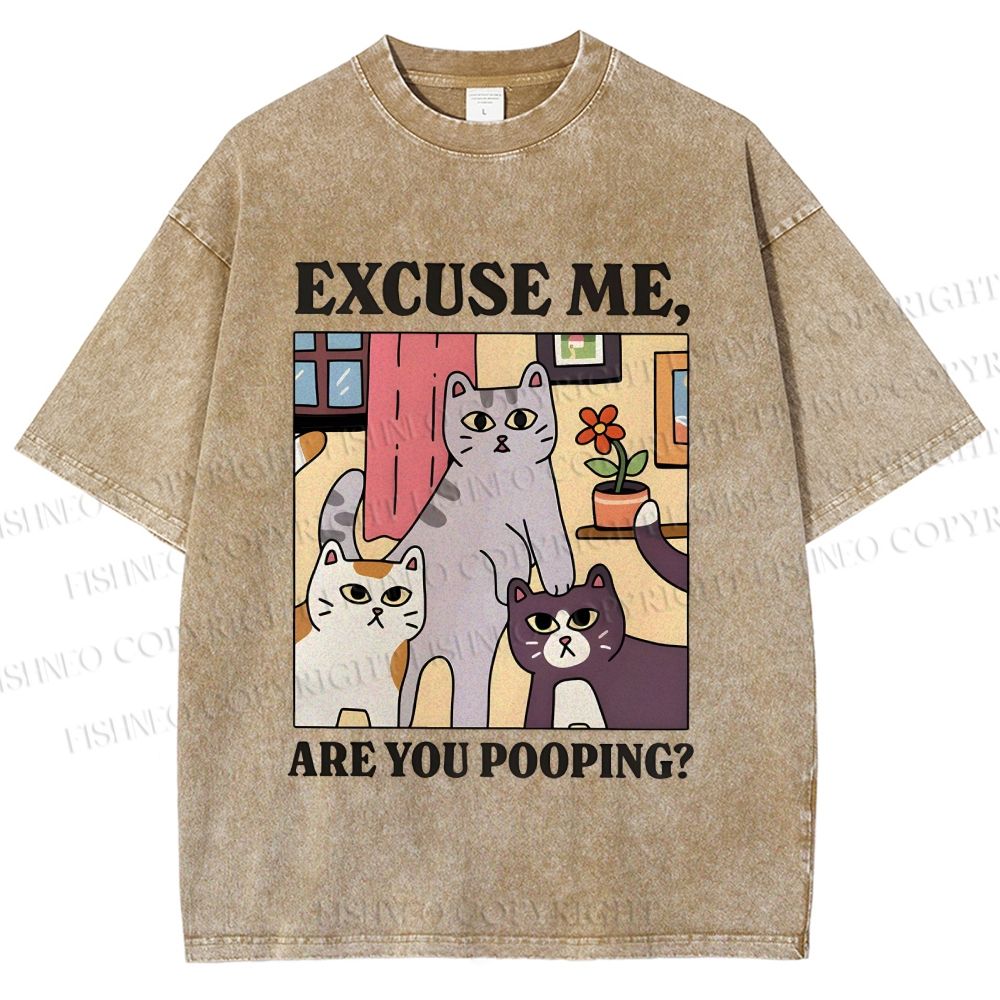 Unisex Excuse Me Are You Pooping Cat Printed Washed Tee