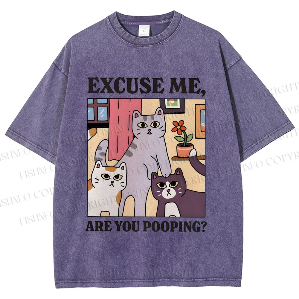 Unisex Excuse Me Are You Pooping Cat Printed Washed Tee