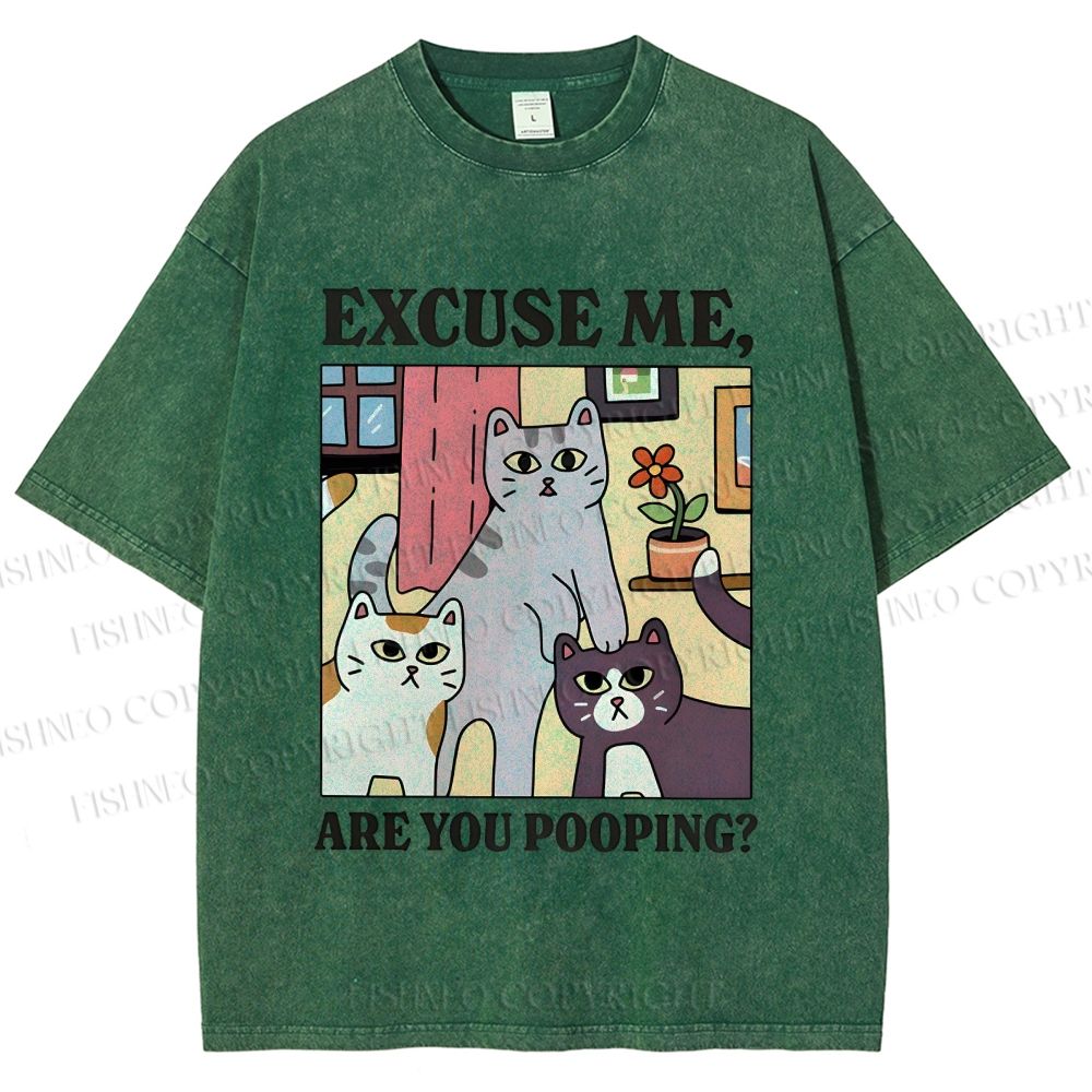 Unisex Excuse Me Are You Pooping Cat Printed Washed Tee