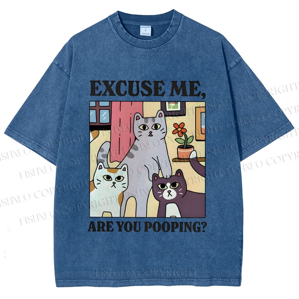 Unisex Excuse Me Are You Pooping Cat Printed Washed Tee