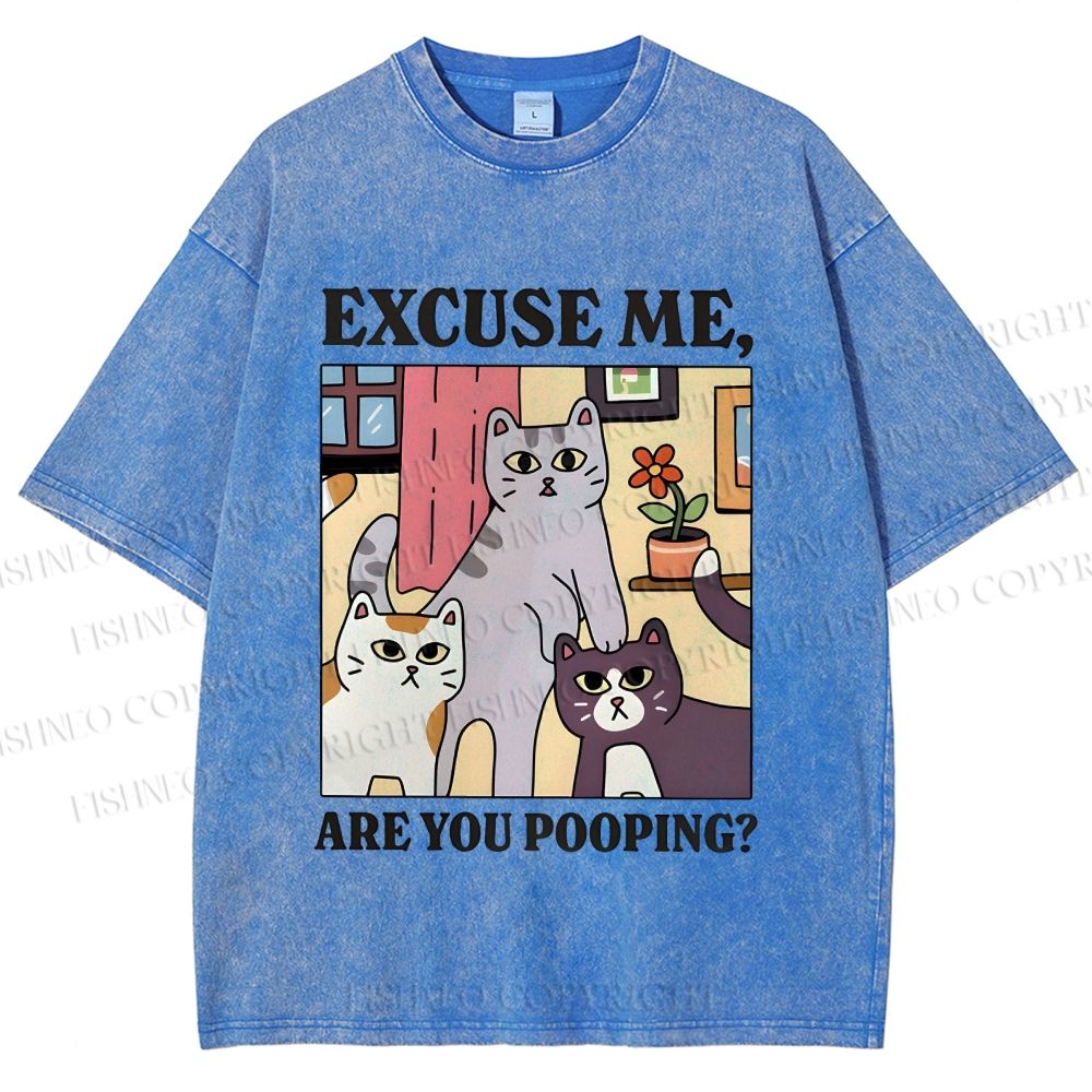 Unisex Excuse Me Are You Pooping Cat Printed Washed Tee