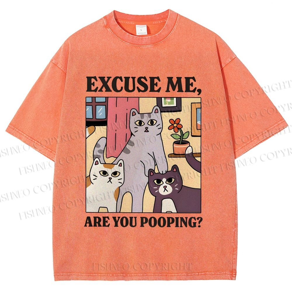 Unisex Excuse Me Are You Pooping Cat Printed Washed Tee