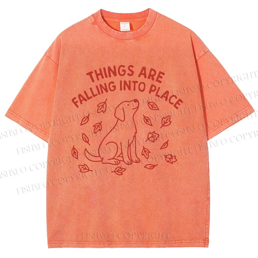 Unisex Things Are Falling Into Place Printed Washed Tee
