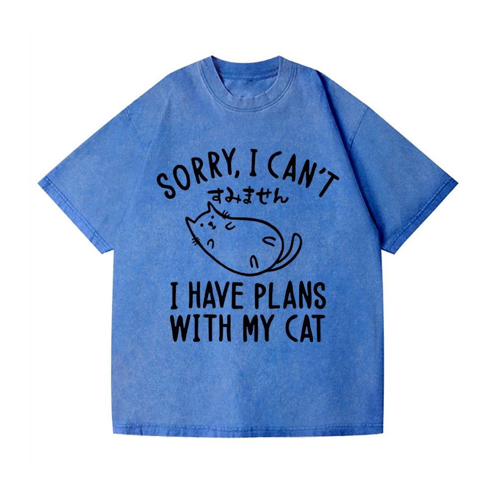 Cat Vintage Wash Japanese Design T-Shirt