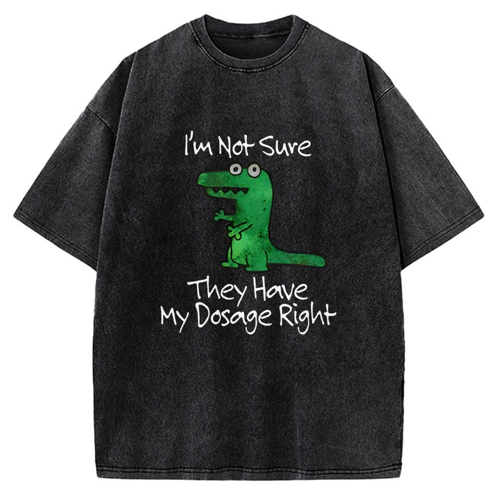 Dinosaur Meme Vintage Washed T-shirt