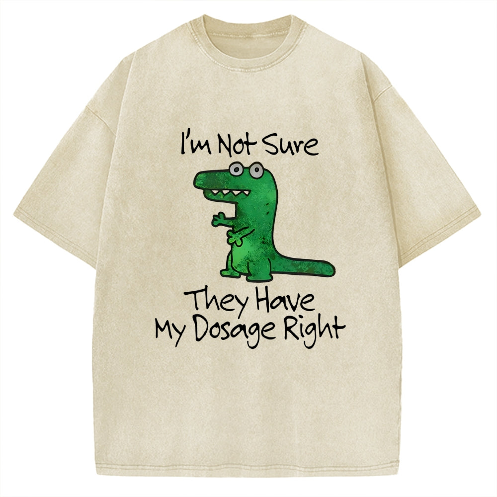 Dinosaur Meme Vintage Washed T-shirt