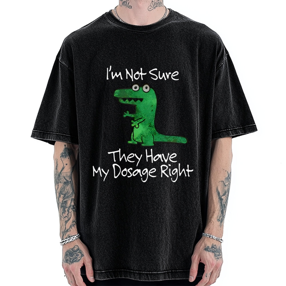Dinosaur Meme Vintage Washed T-shirt