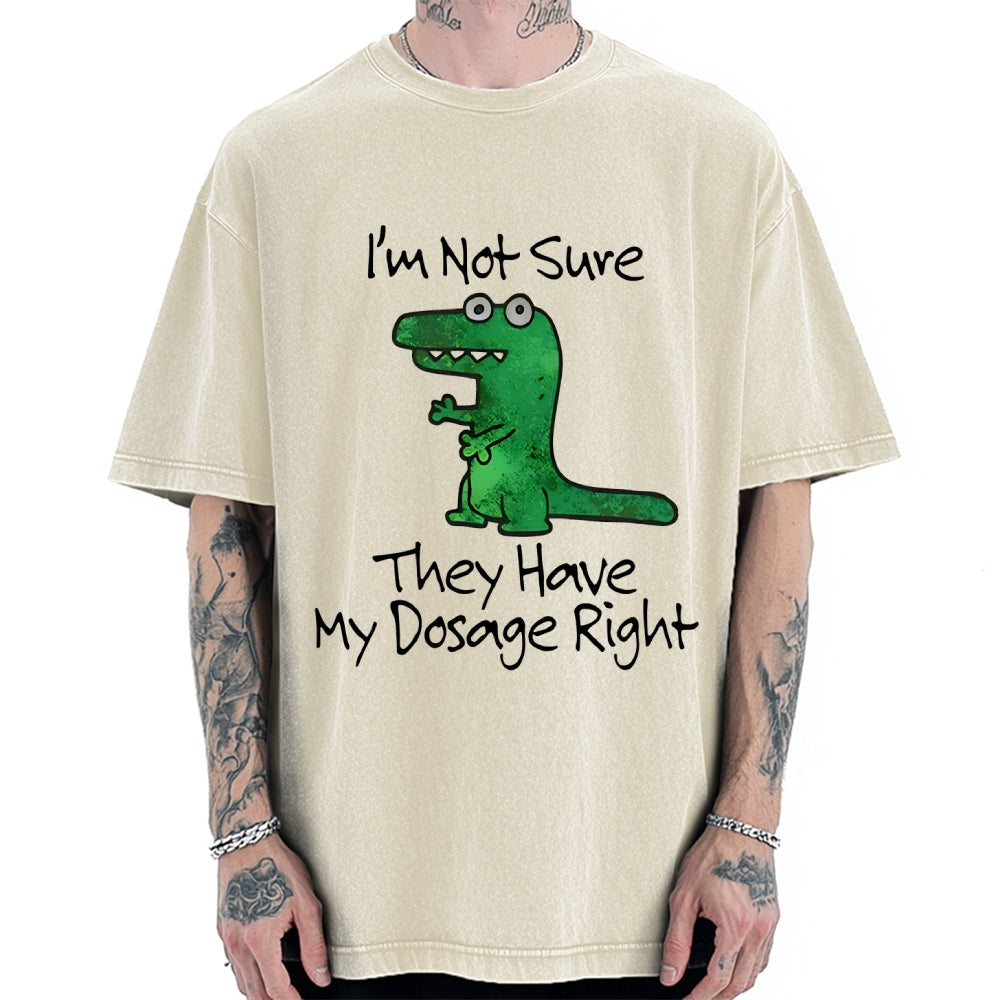 Dinosaur Meme Vintage Washed T-shirt