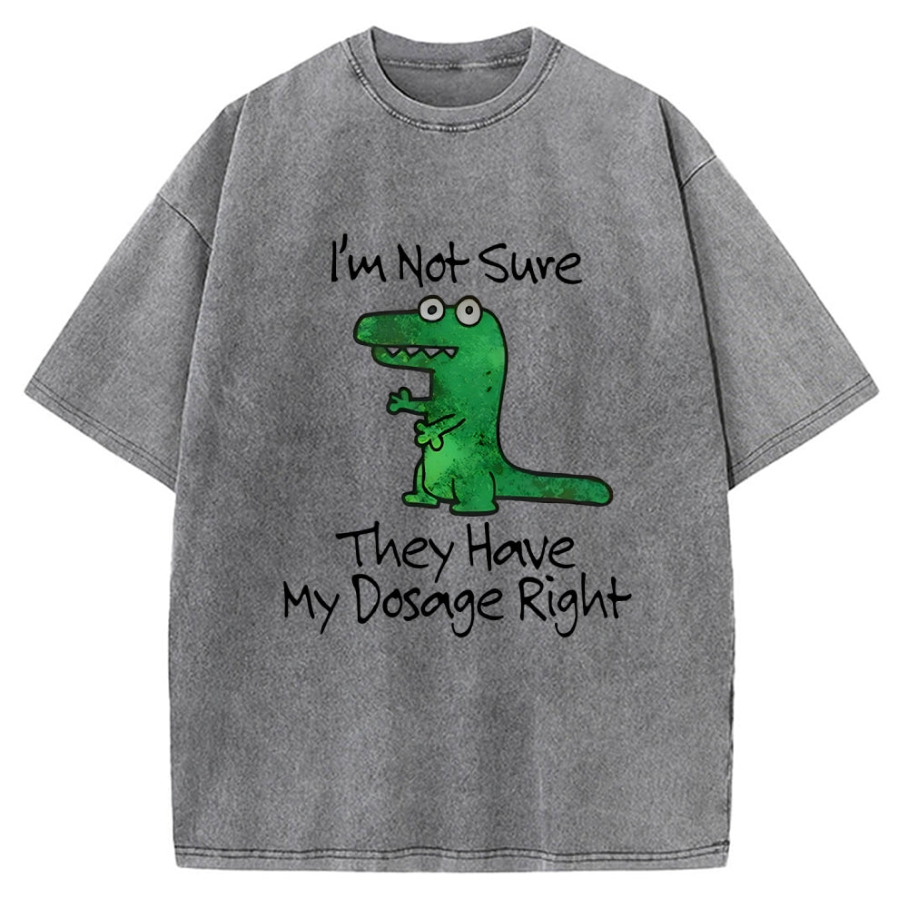 Dinosaur Meme Vintage Washed T-shirt