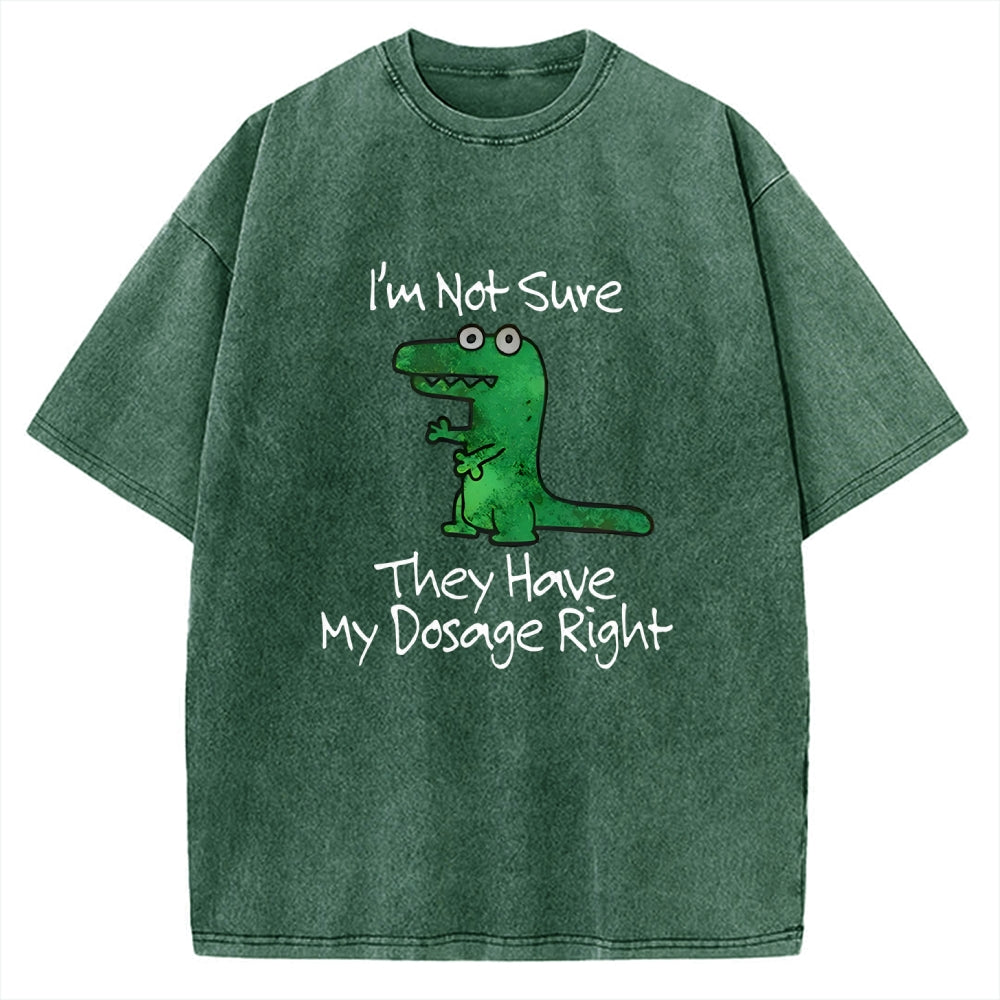 Dinosaur Meme Vintage Washed T-shirt