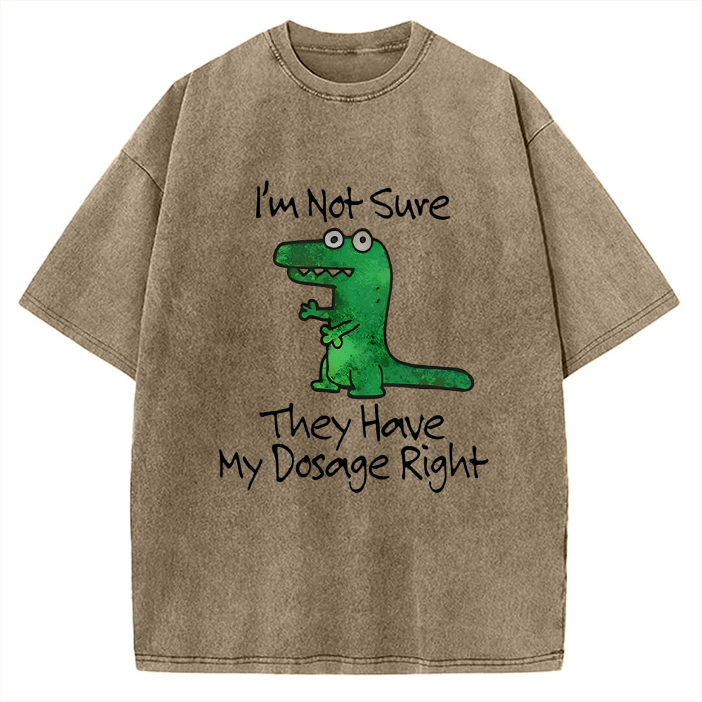 Dinosaur Meme Vintage Washed T-shirt