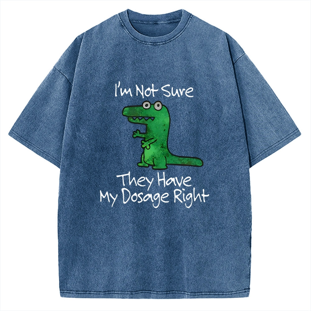 Dinosaur Meme Vintage Washed T-shirt