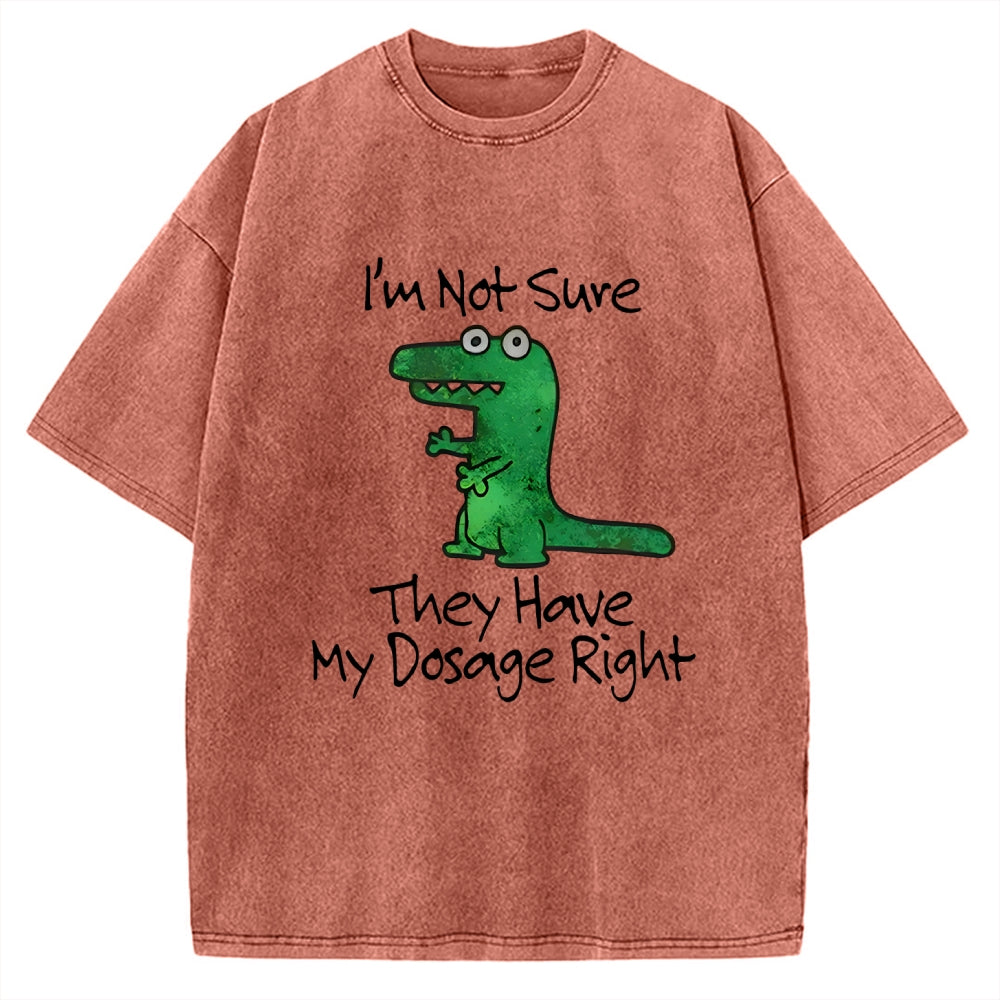 Dinosaur Meme Vintage Washed T-shirt