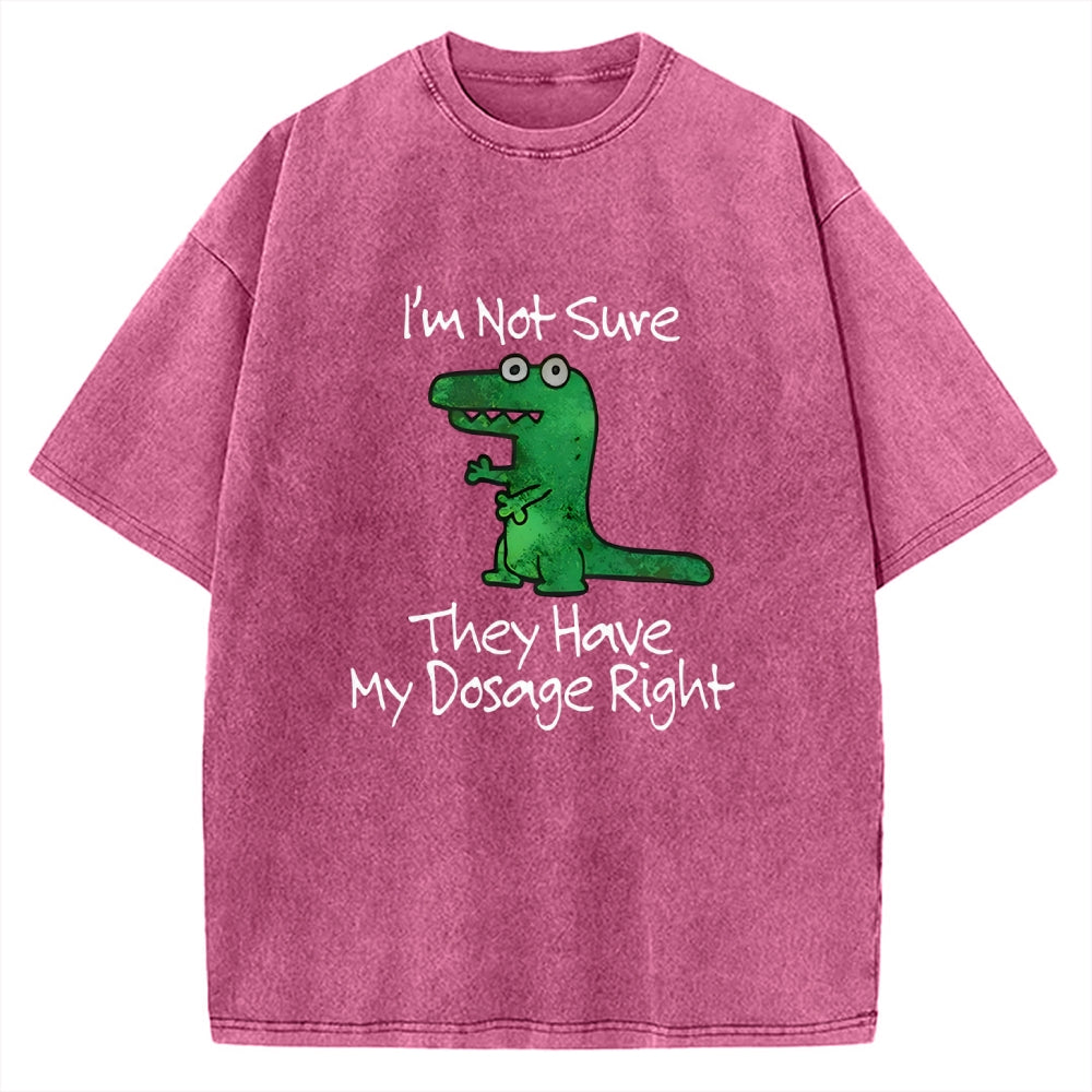 Dinosaur Meme Vintage Washed T-shirt