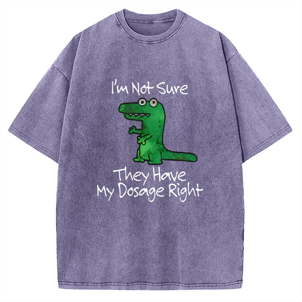 Dinosaur Meme Vintage Washed T-shirt