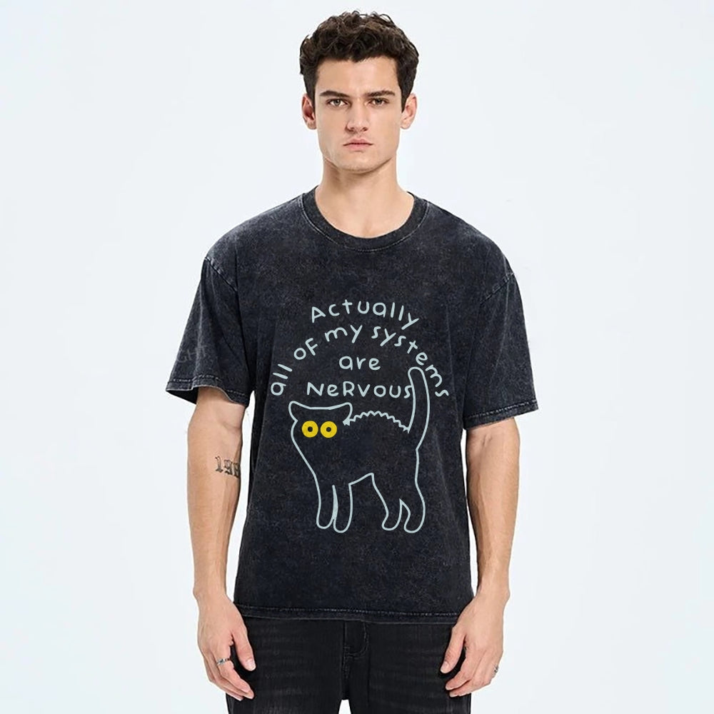 Actually All Of My Systems Are Nervous Washed T-Shirt