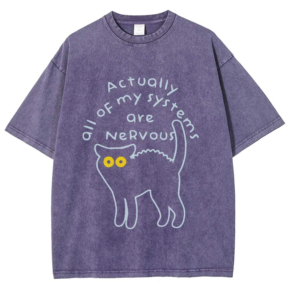 Actually All Of My Systems Are Nervous Washed T-Shirt