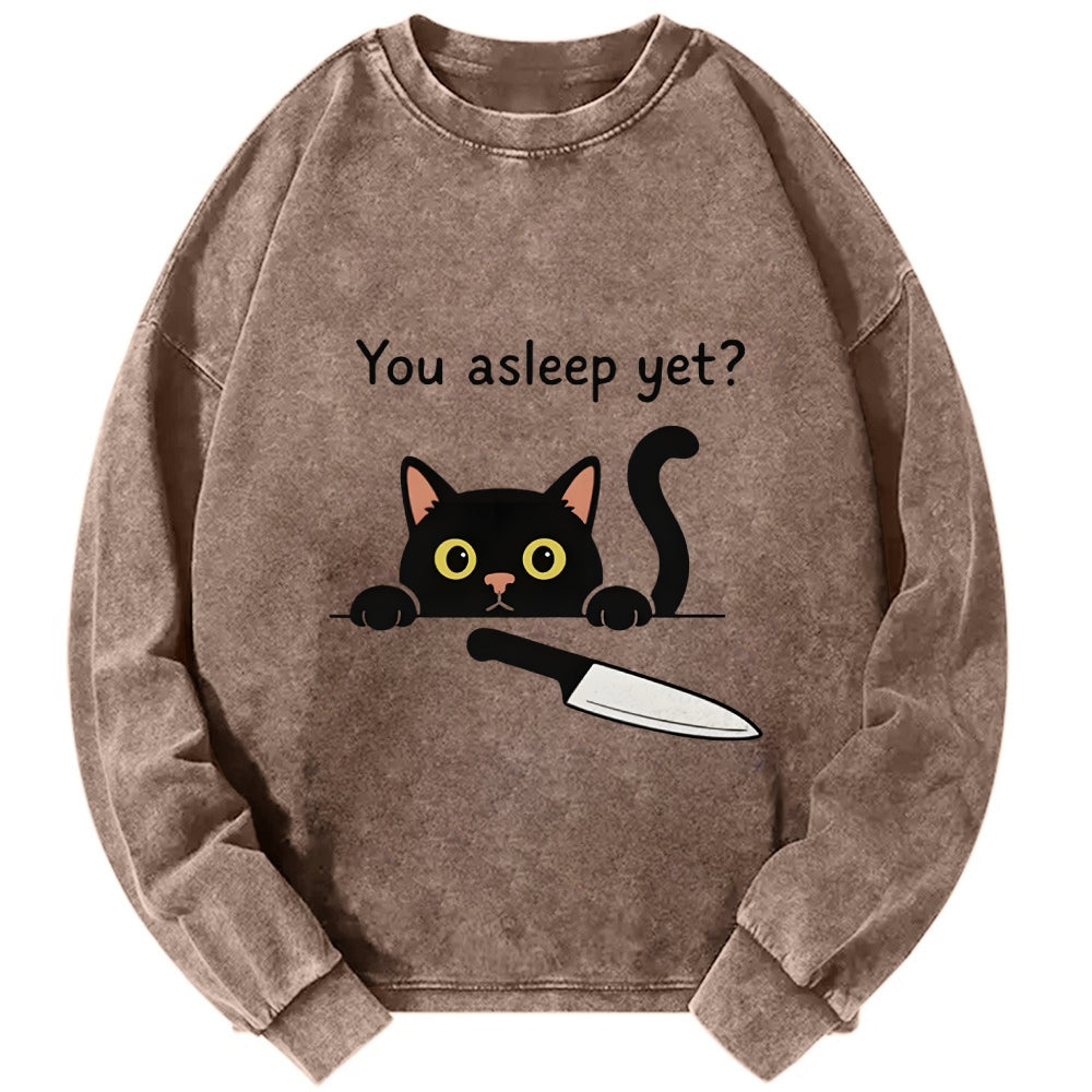 Cat With Murderous Intent Washed Sweatshirt