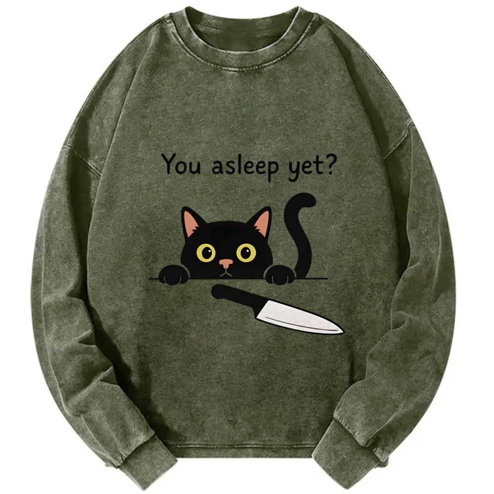 Cat With Murderous Intent Washed Sweatshirt